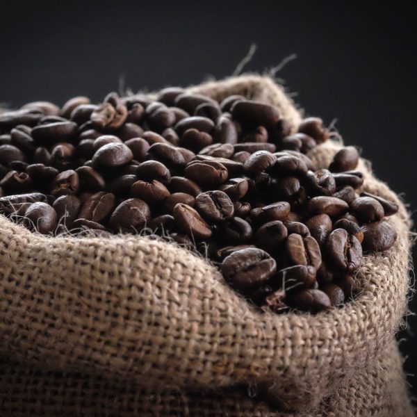אדר פתרונות קפה | פולי קפה Bobo